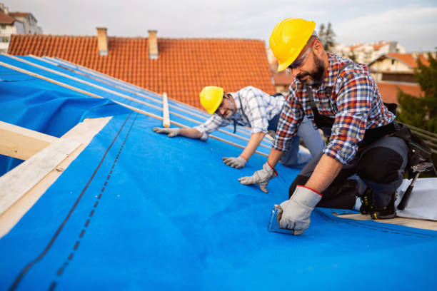Best Chimney Flashing Repair  in Bothell East, WA