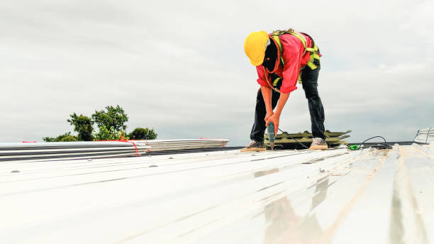 Best Solar Panel Roofing Installation  in Bothell East, WA